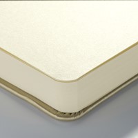 Schetsboek Talens Art Creation 210x300mm witgoud 1 Stuk-3