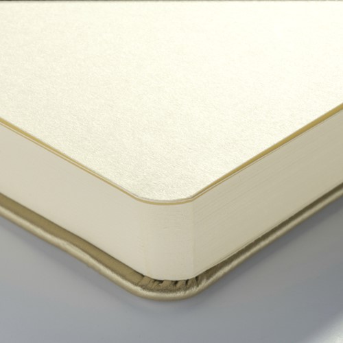 Schetsboek Talens Art Creation 210x300mm witgoud 1 Stuk-3