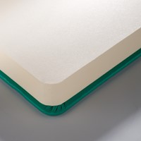 Schetsboek Talens Art Creation 210x297mm woudgroen 1 Stuk-3