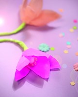 Crêpepapier Folia 250x50cm nr119 roze 1 Stuk-3
