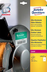 Etiket Avery L7917-10 210x297mm polyester wit 10st 10 Vel