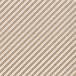 Apparaatrol Special Wrap 200mx30cm kraft streep wt 1 Rol
