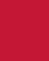 Etalagekarton Folia 1z 48x68cm 380gr nr211 rood 1 Stuk