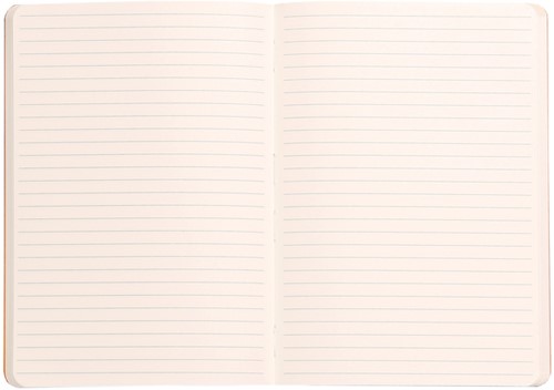 Notitieboek Rhodia A5 lijn 80 vel 90gr celadon 1 Stuk-2