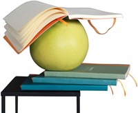 Notitieboek Rhodia A6 lijn 72 vel 90gr zwart 1 Stuk-3