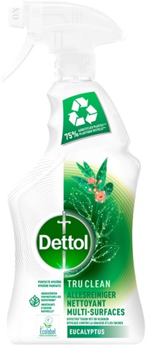 Allesreiniger Dettol TC Eucalyptus spray 500ml 500 Milliliter