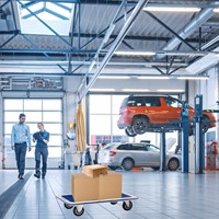 Transportkar BRASQ zonder duwbeugel 300kg 1 Stuk-6