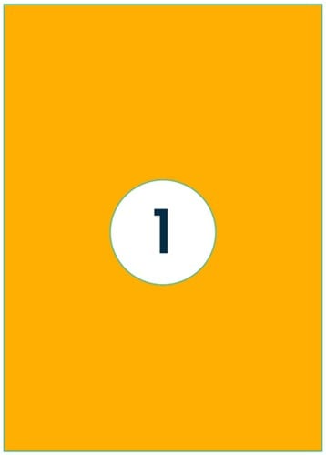 Etiket Rillprint 210x297mm fluoror 100 etiketten 100 Vel