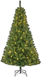 Charlton boom groen 280L TIPS 525 - h185xd115cm 1 Stuk