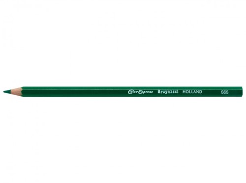 BRUYNZEEL KLEURPOTLODEN 2515 MOSGROEN 565 1 Dozijn