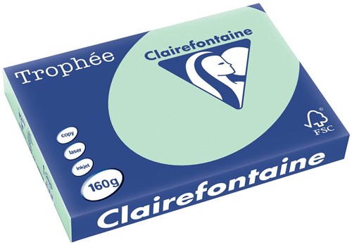 CLAIREFONTAINE TROPHEE A3 160 GRAMS GROEN 250 Vel