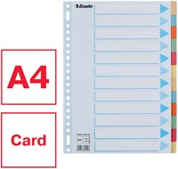 Tabbaden Esselte premium A4 12dlg karton 23r ass 1 Stuk-2
