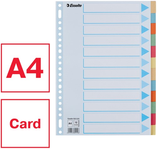 Tabbaden Esselte premium A4 12dlg karton 23r ass 1 Stuk-2