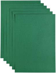Kopieerpapier Papicolor A4 100gr dennengroen 12 Vel