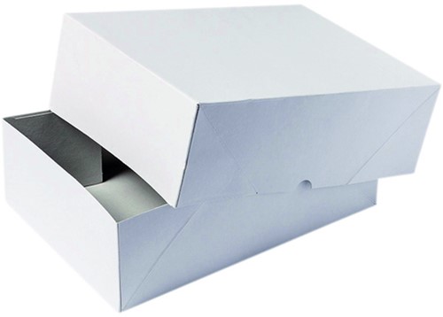 Paraatdoos IEZZY A4 305x215x100mm voor 1000vel wit 10 Stuk