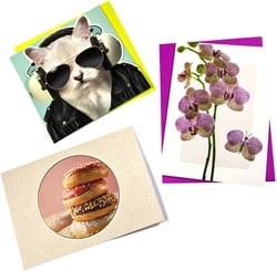 Navulset Paperclip wenskaart blanco 12 Stuk