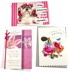 Wenskaart Paperclip navulset verj vrouw 6 kaarten 6 Stuk