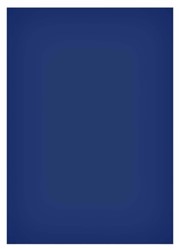 Magneetvel MAUL 200x300mm blauw 1 Stuk