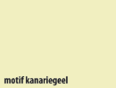 KOPIEERPAPIER FASTPRINT COLOR KANARIEGEEL A4 80 GRAMS GESNEDEN NAAR A6 FORMAAT 1 Stuk