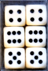 Dobbelstenen Verhaak 6 stuks 6 Stuk