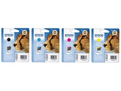 Epson supplies