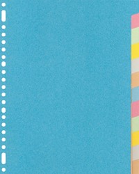 Tabblad Kangaro 23r RY412M 12 delig assorti karton 1 Set