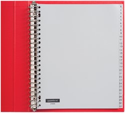Tabblad Quantore A4 23r pp 1-31 extra breed grijs 1 Set