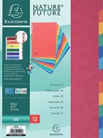 Tabbladen Exacompta 225x297mm 11gaats 12del glans 1 Set-2