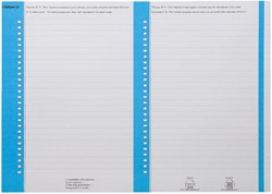 Ruiterstrook Elba Nr 8 138x6mm lateraal blauw 10v 10 Vel