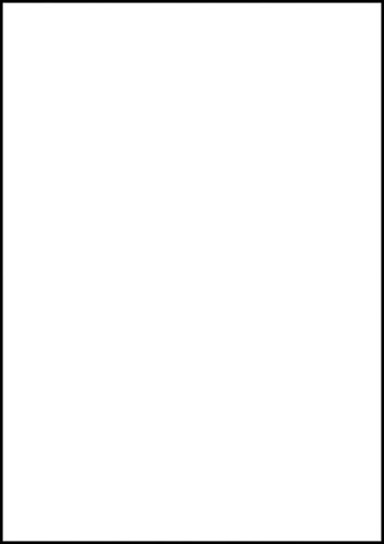Etiket Avery 6119 210x297mm A4 wit 25st 25 Vel-2