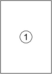 Etiket Quantore 210x297mm 100st 100 Vel