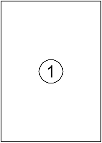 Etiket Quantore 210x297mm 100st 100 Vel