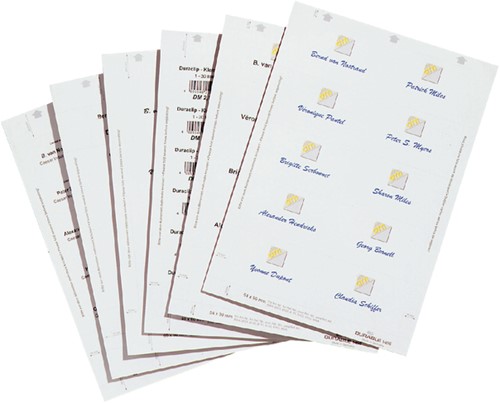 Badgekaart Durable 1456 bedrukbaar 60x90mm 160st 160 Stuk