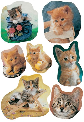 Etiket HERMA 5747 katten 3 Vel