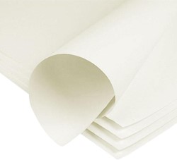 WERKDRUK/SCHILDERSPAPIER 50x65 80 GRAMS 500 VEL 1 Pak